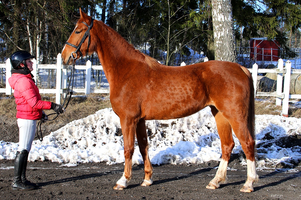 OVERNA, 2019