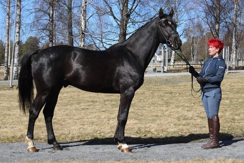 KANNDIARO CGC, 2018