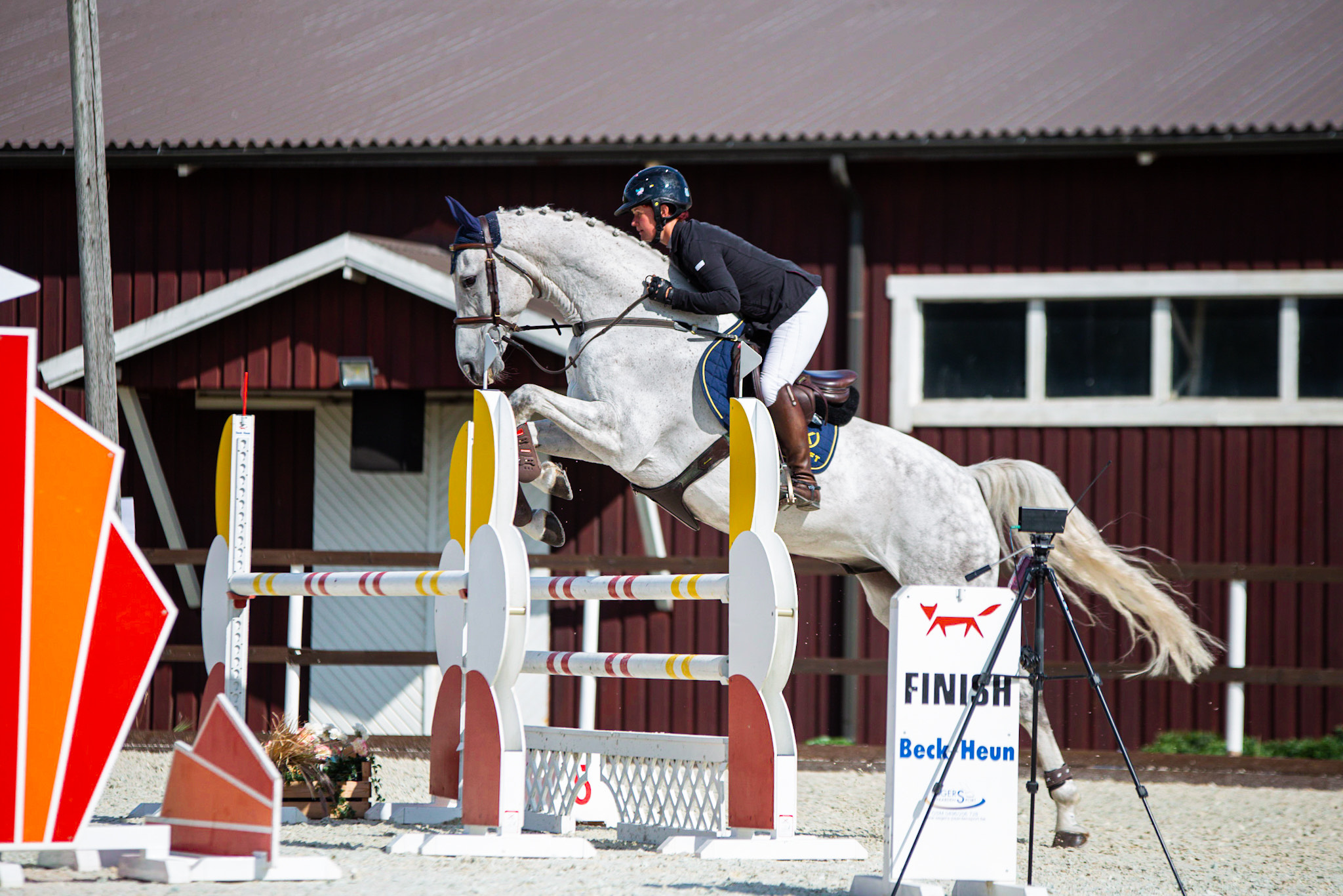 LODESTAR, 2012