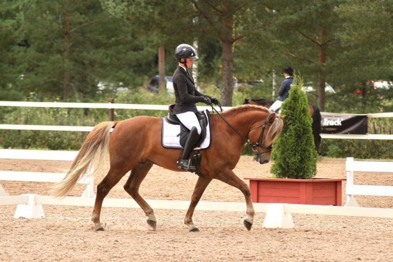 SARAN VELIHEMMI