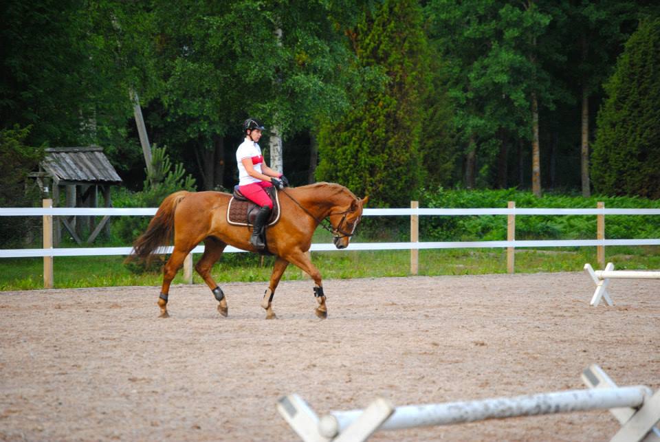 STERNJÄGER, 2009