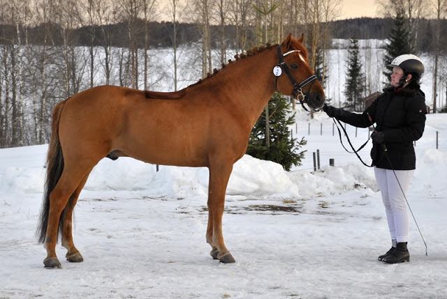 PIKKU-JÄTKÄ, 2006