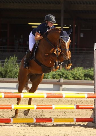 SANDRO STAR CARRUS, 2008