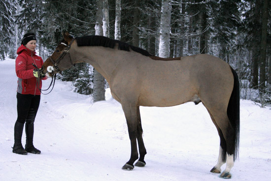 SILENT MEMORY, 2007