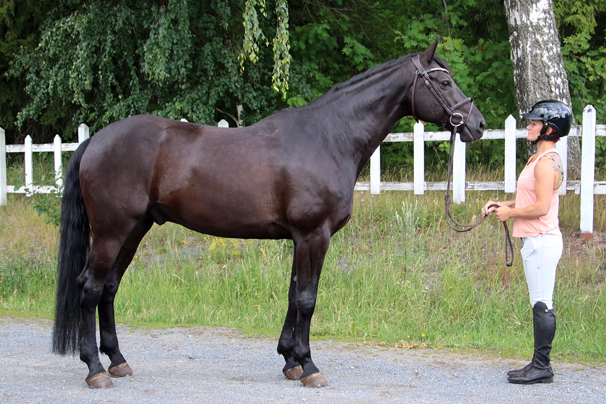 KUIPUI SIRIUS, 2011