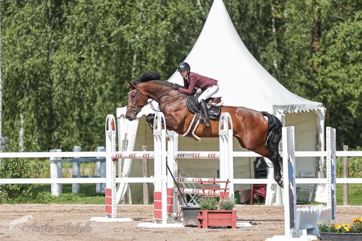 PORTEUR DE LUMIÉRE, 2014