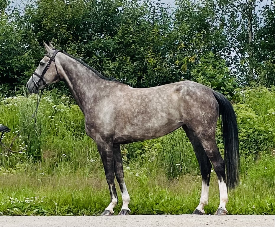 CHLOE 21, 2018