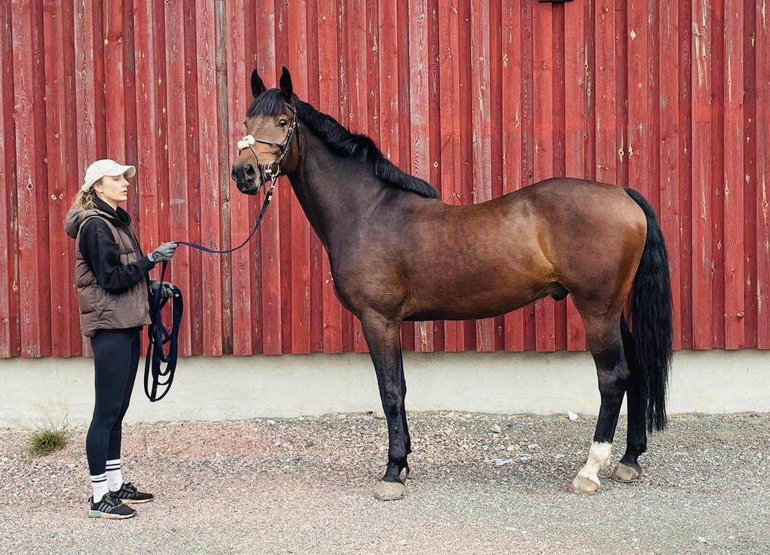 JAYBIRDS CLINTENDRO, 2021